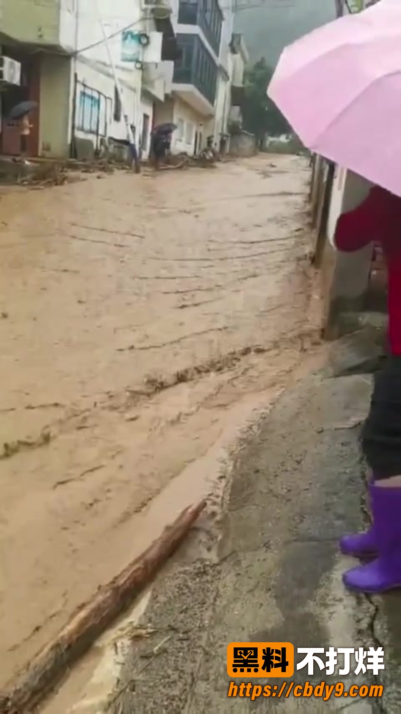 江西遂川高坪镇泥石流灾害 11