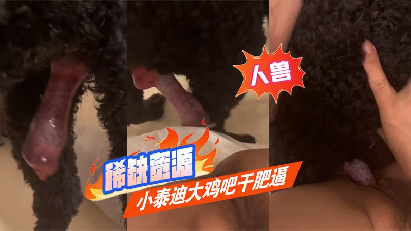 Áp phích cho 【人兽】稀缺资源 小泰迪大鸡吧干肥逼