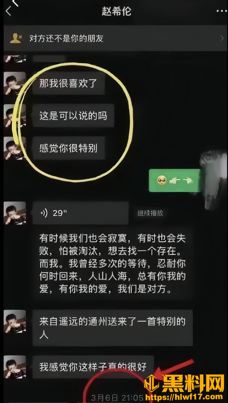 沙玥儿赵希伦官宣翻车28