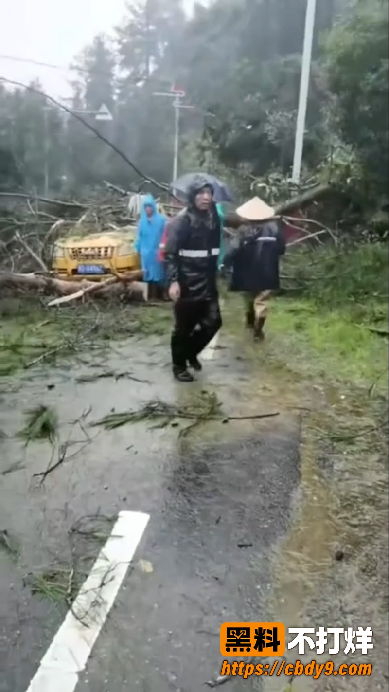 江西遂川高坪镇泥石流灾害 2