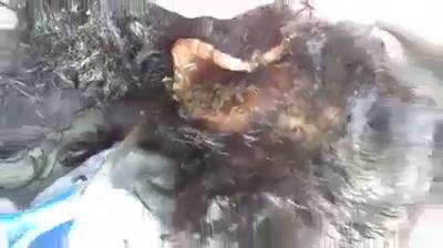 Плакат для 这脑袋经历了什么？难道一直不觉得痒么？什么情况下能养出这么多蛆啊，还有变成苍蝇在飞的。。。。