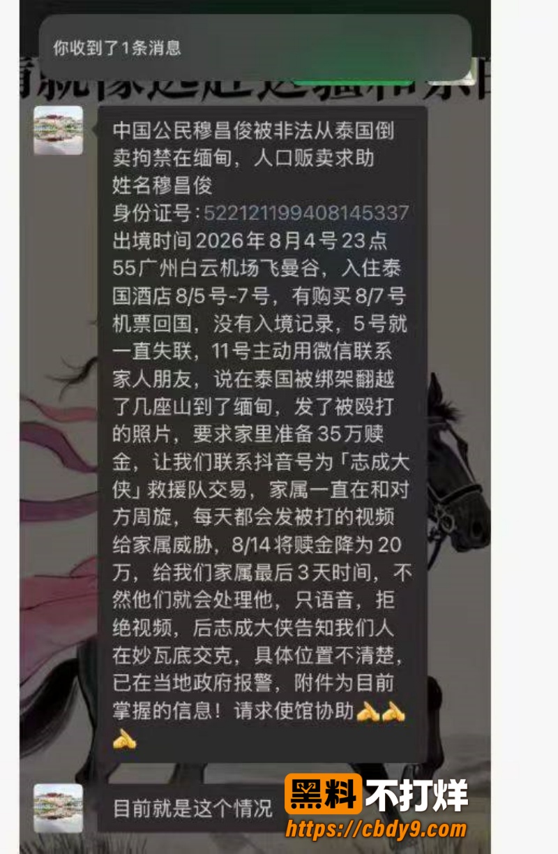 穆昌俊缅甸暴打 5