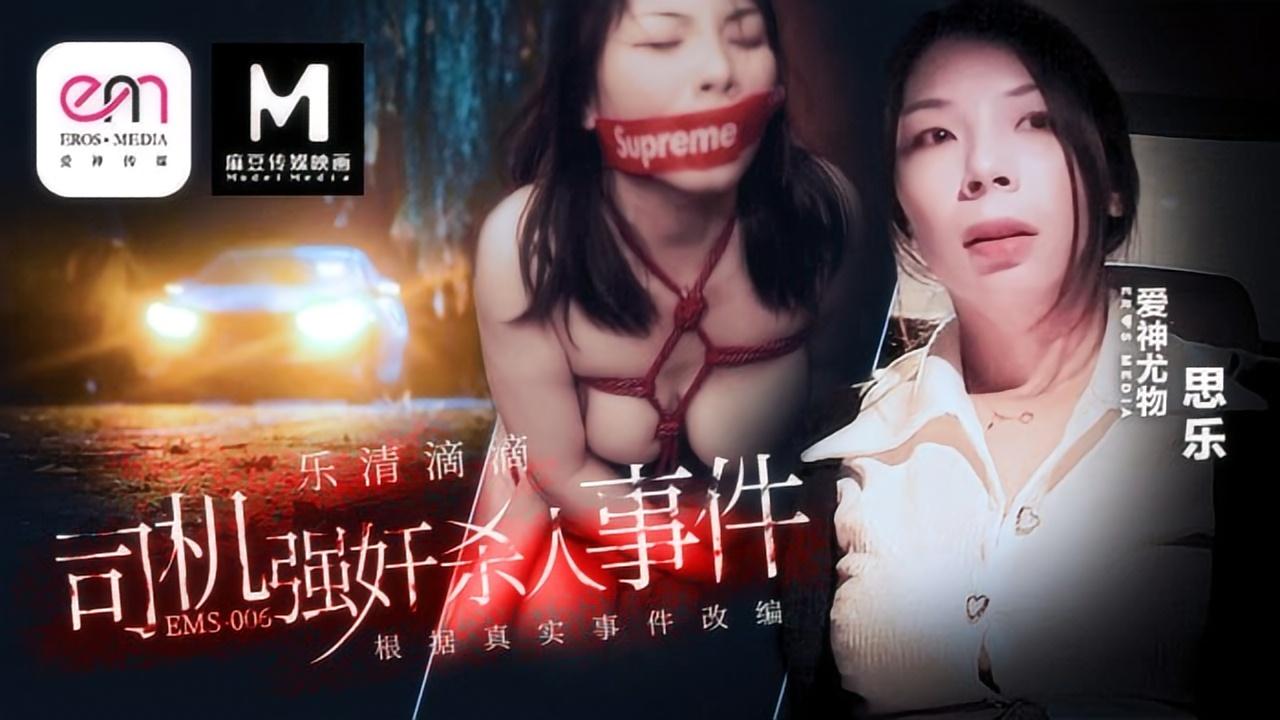 Poster for 司机强奸杀人事件