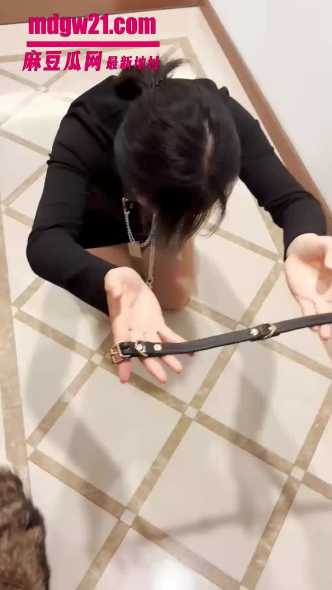 极品女神SM定拍k9训练 带上狗链满地爬行  狗尾肛塞摇尾乞食 | 麻豆瓜网｜麻豆传媒旗下的免费成人吃瓜黑料网