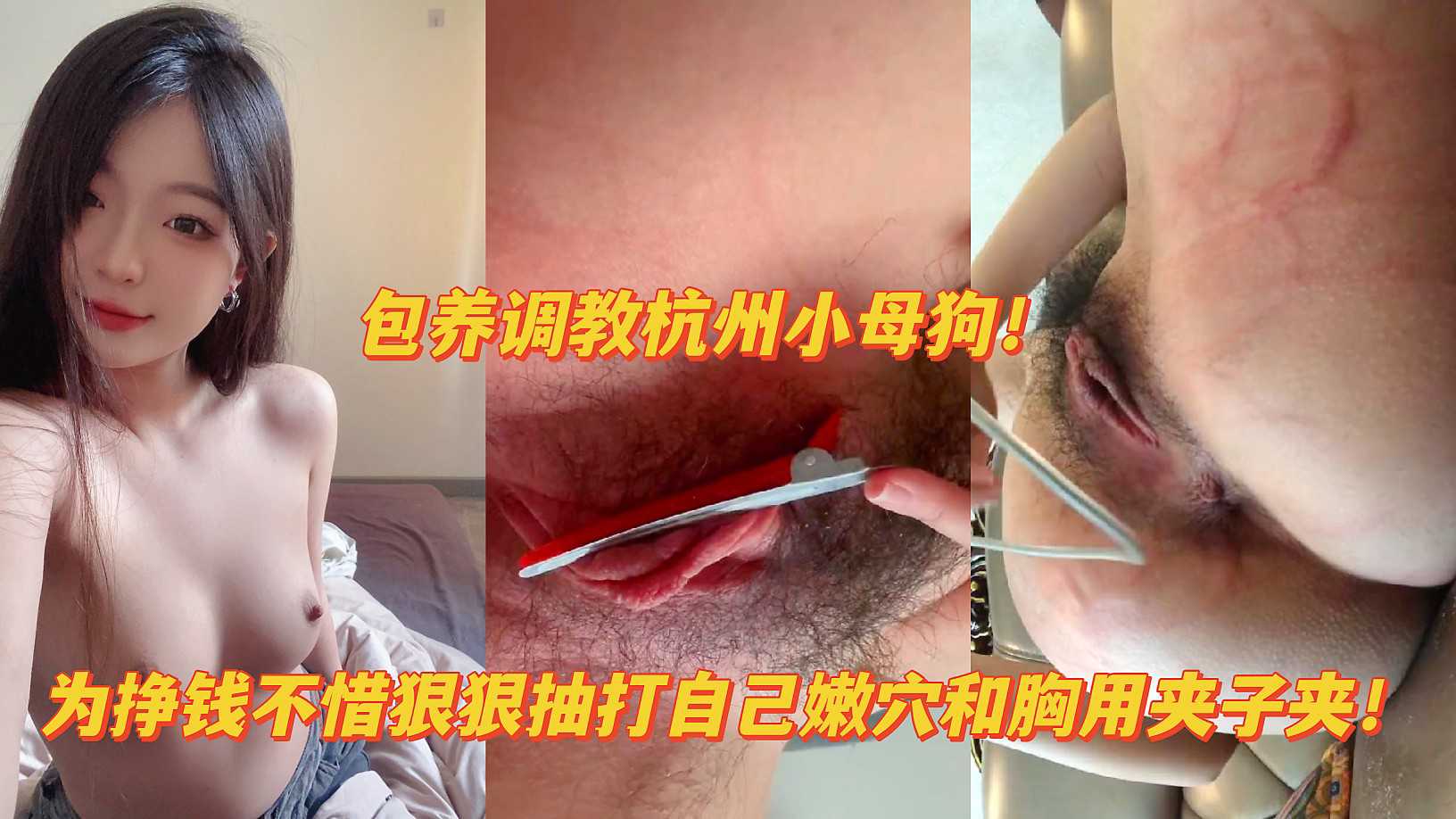 โปสเตอร์สำหรับ 【抽打骚逼】变态母狗虐阴边哭边打逼都打肿了尿尿都痛