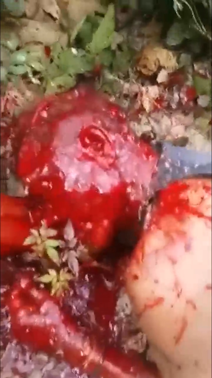 暗网重口，谨慎观看！杀人全过程 포스터