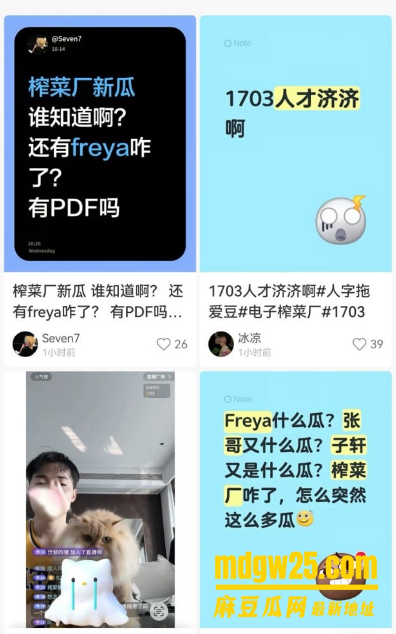 薛某芝 榨菜厂freya 出轨视频13