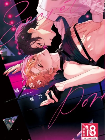 秘密情事 [Chinese][单][全1卷] [瑛乃] シークレット・ポルノ 的封面