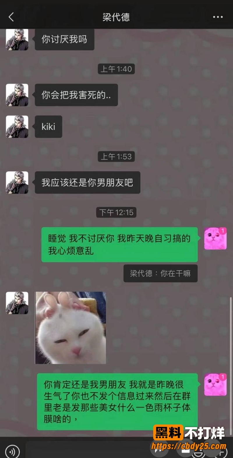 维维神父 12
