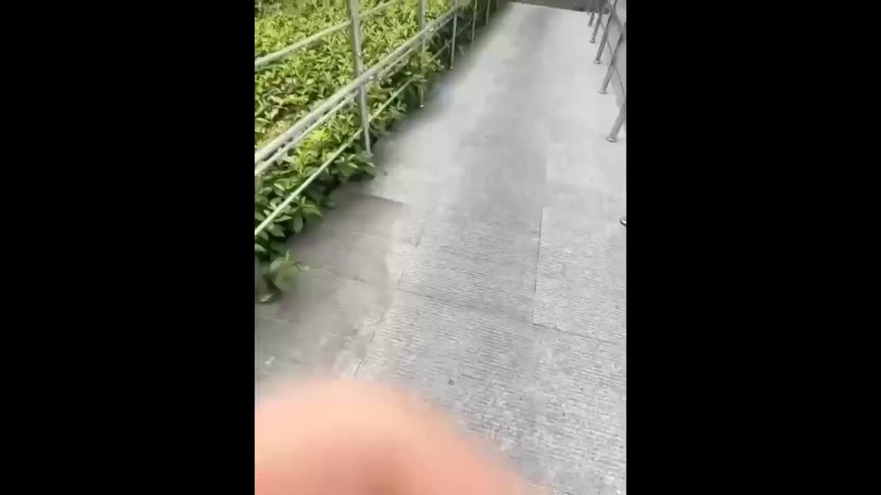 武汉协和医院陈秘被指强迫女学生上床 家属大厅举旗痛斥破碎 书记杨志勇接举报却不管不问