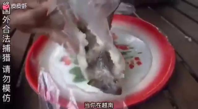 โปสเตอร์สำหรับ 阴间美味！米奇寿司带毛吃