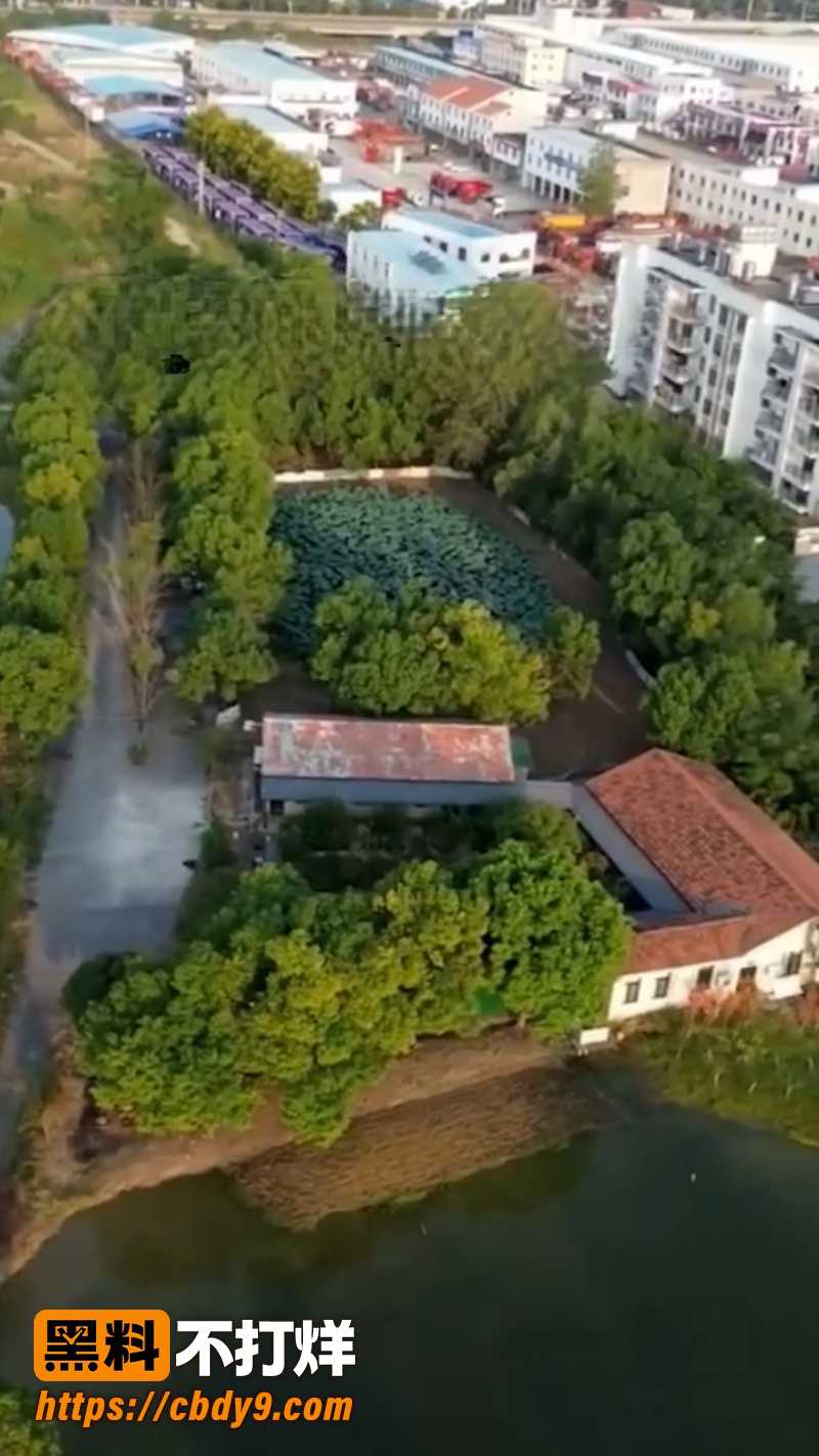 上官正义卧底半月曝光 5