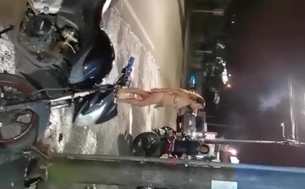 国外裸奔的女人 的封面