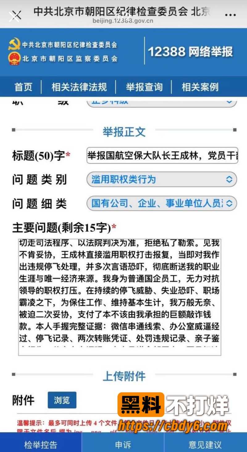 国航空保支队三大队长王成林1 11