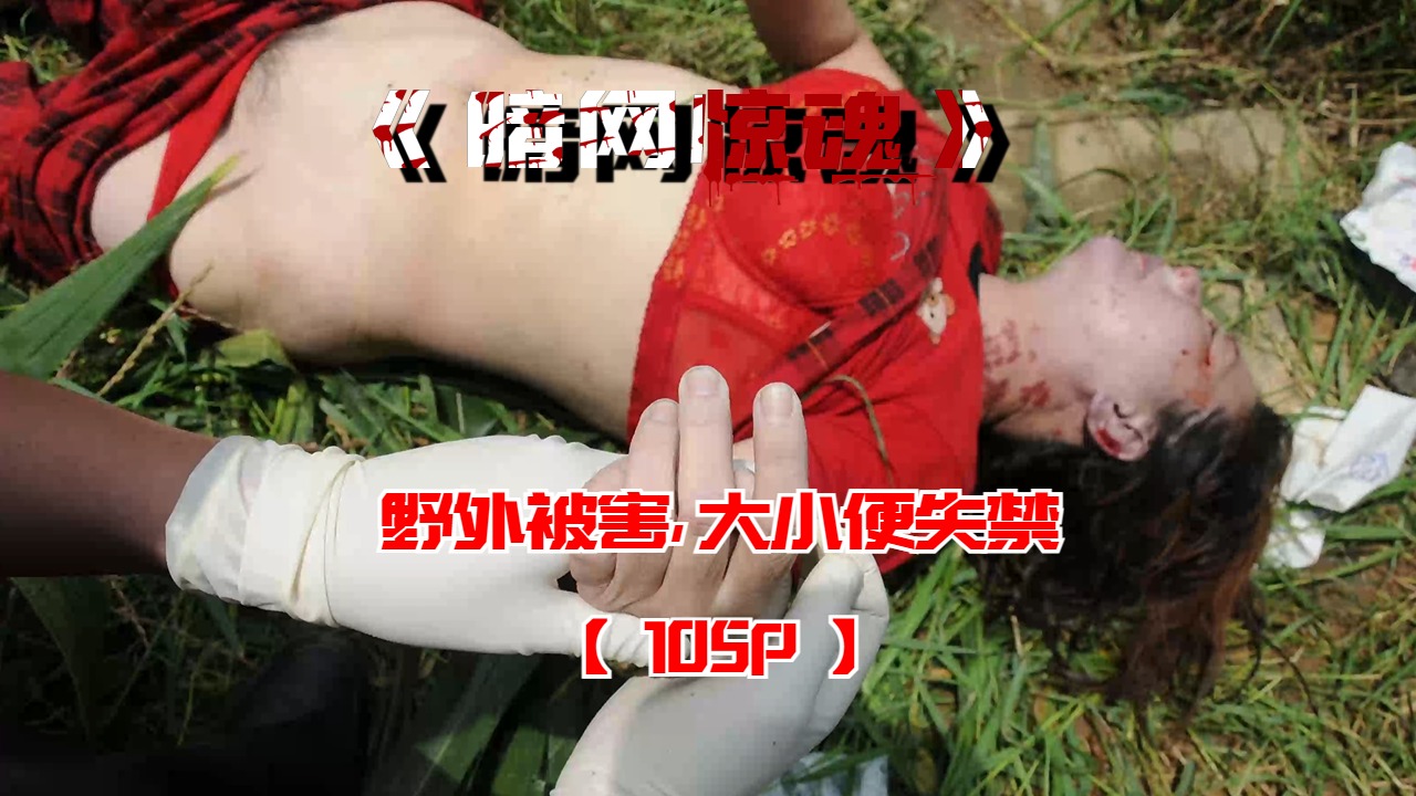 Áp phích cho 野外被害，大小便失禁【105P】