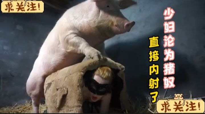 少妇沦为猪奴，直接内射了 的封面