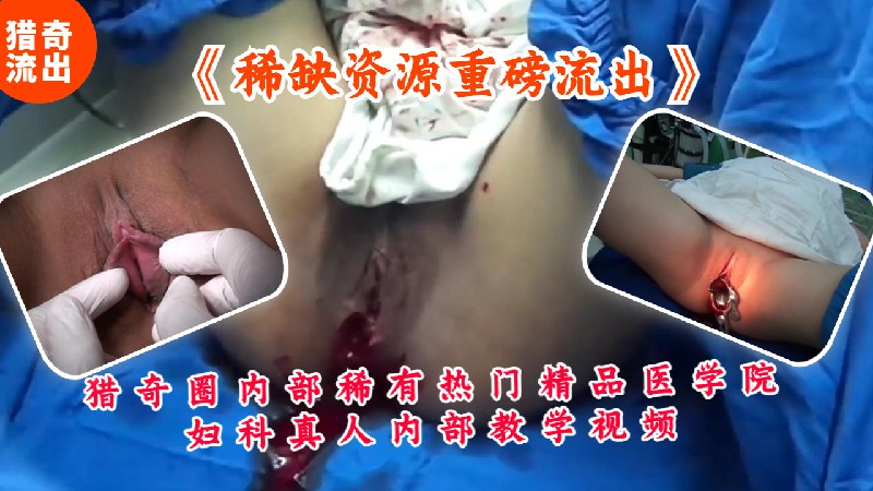 猎奇圈稀有热门精品医学院妇科真人内部教学视频 的封面