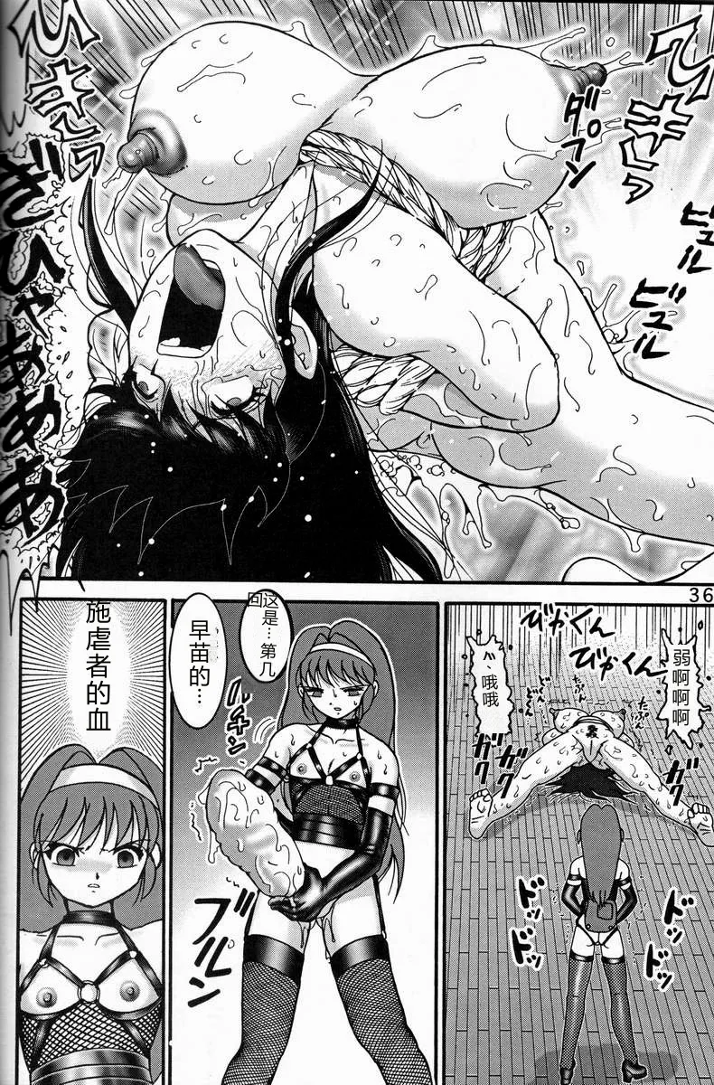 第 1 章、35 ページ
