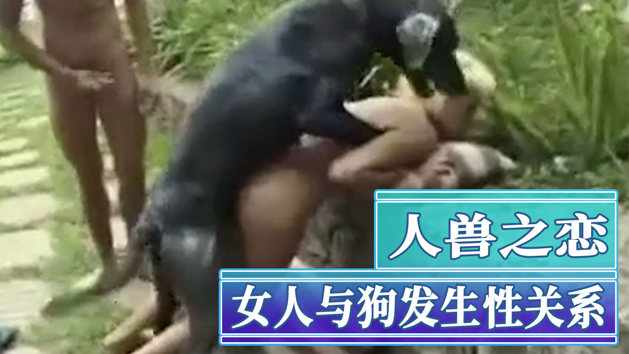 人兽之恋女人与狗发生性关系 的封面