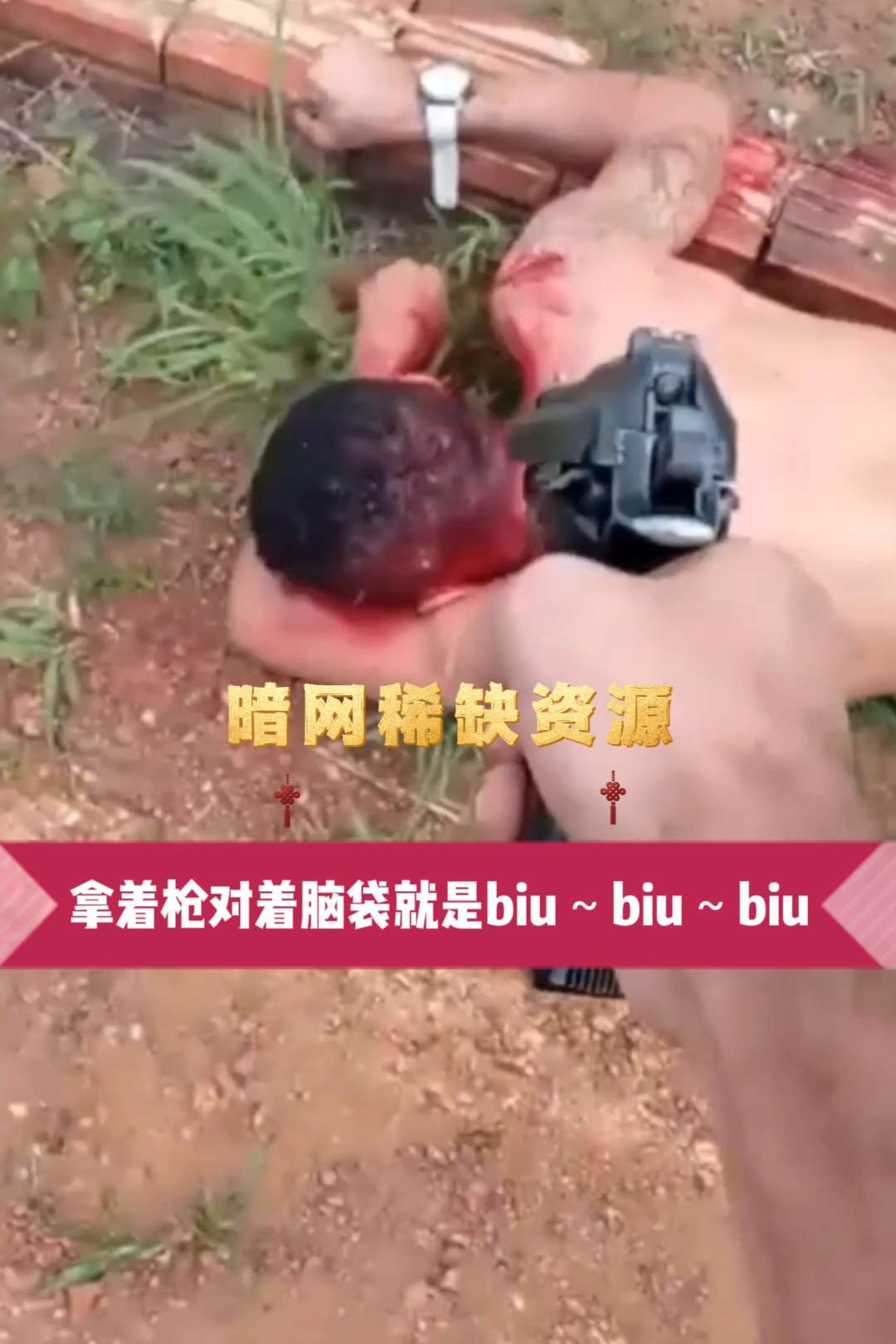 Áp phích cho 〔暗网资源〕拿着枪对着投就是biu,biu