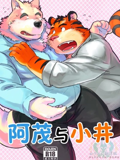โปสเตอร์สำหรับ 阿茂与小井