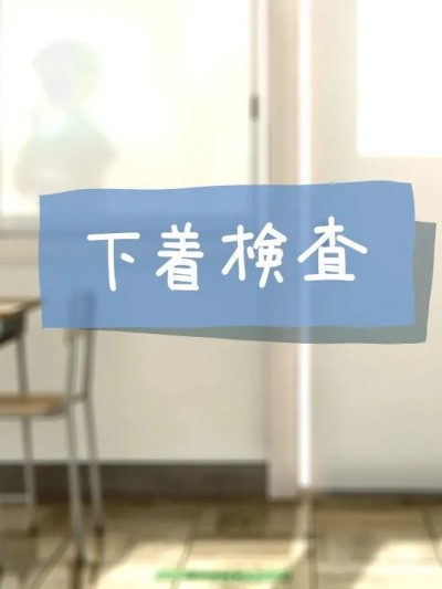 内衣检查 [中国翻訳] 的封面