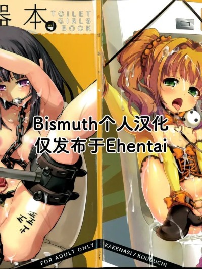 Poster para sa [Bismuth个人汉化] (C82) [SPT (かけなし、こうぐちもと、SHUKO)] 肉便器本 TOILET GIRLS BOOK