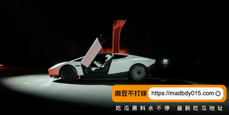 特斯拉3