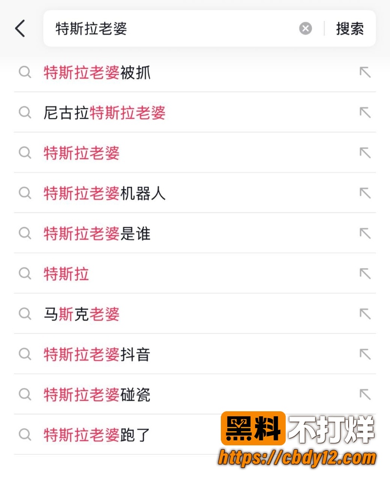 特斯拉车主的妻子 14