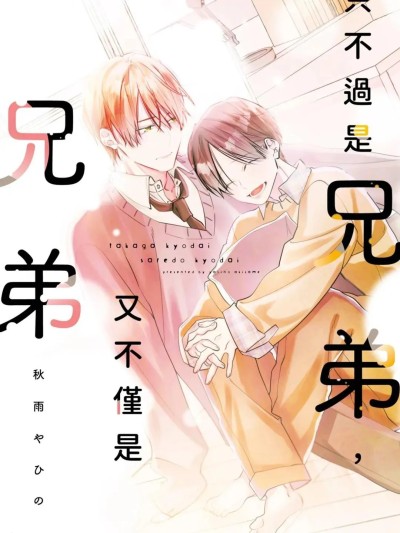 Poster for 只不过是兄弟，又不仅是兄弟