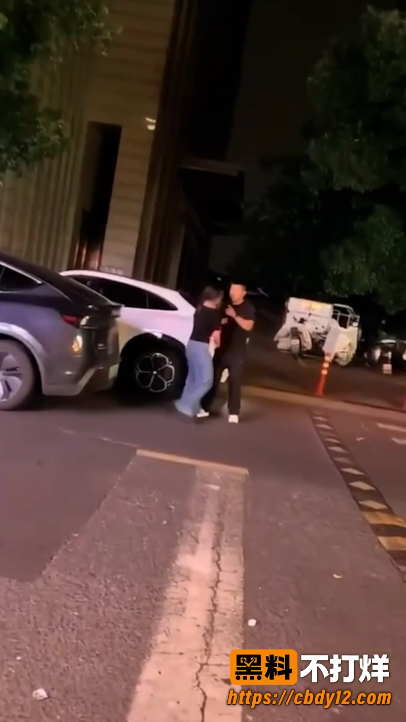 特斯拉车主的妻子 8