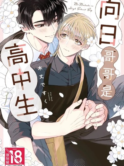 向日哥哥是高中生 のポスター