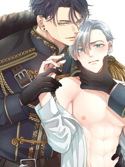 边境伯骑士的执着婚[无光][カシマシカ] 辺境伯騎士の執着婚 的封面