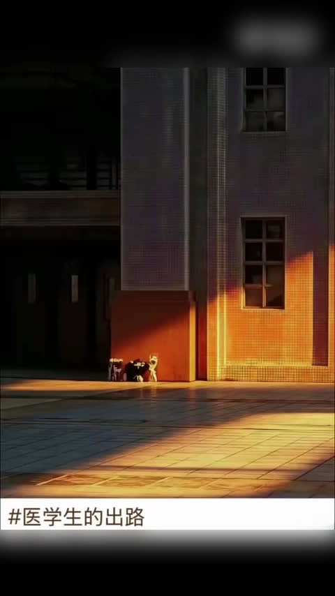 南医大八年制医学生宿舍坠亡 校方成立专项工作组 八年制医学生宿舍坠亡网传导师请假说法未经证实