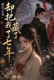 他有正妻，却把我藏了七年 的封面