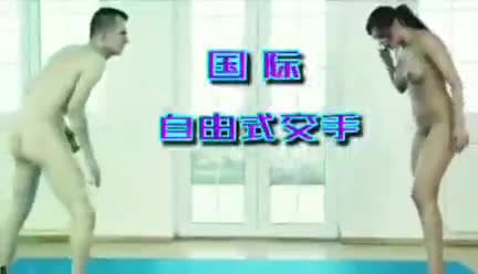 国际自由式交手 のポスター