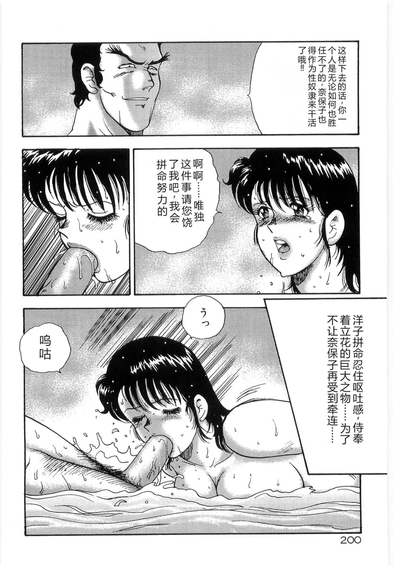 第 1 章, trang 204