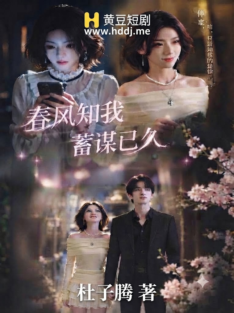 春风知我蓄谋已久 的封面