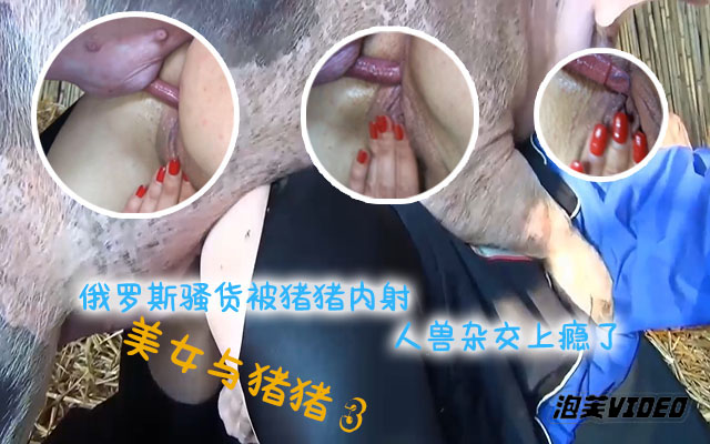 俄罗斯骚货被猪猪疯狂内射，还觉得不够太骚了简直 的封面