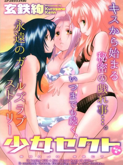 少女派系 总结版[DL版] 的封面