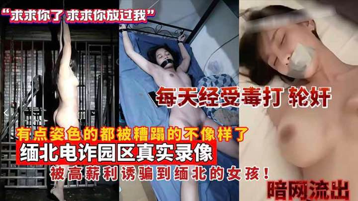 Плакат для 缅北女猪仔被虐合集