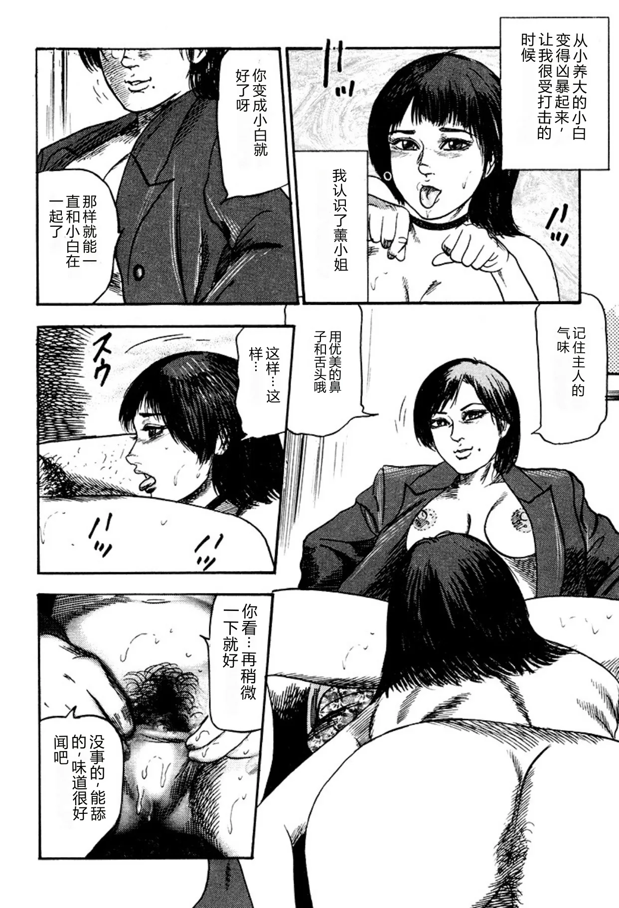 第 1 章、252 ページ