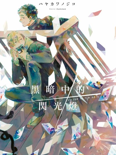黑暗中的闪光灯 [中国翻訳] 的封面