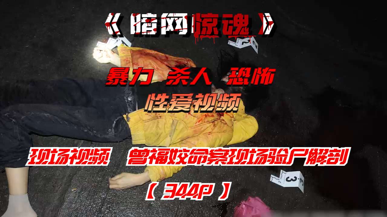 Áp phích cho 现场视频曾福姣命案现场验尸解剖【344P】