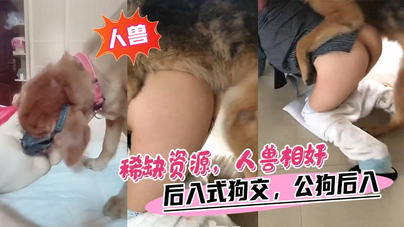 Áp phích cho 【人兽】稀缺资源，人兽相姦，后入式狗交，公狗后入