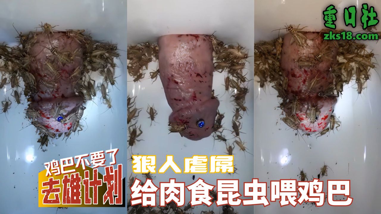 Áp phích cho 狠人虐屌-给肉食昆虫喂鸡巴
