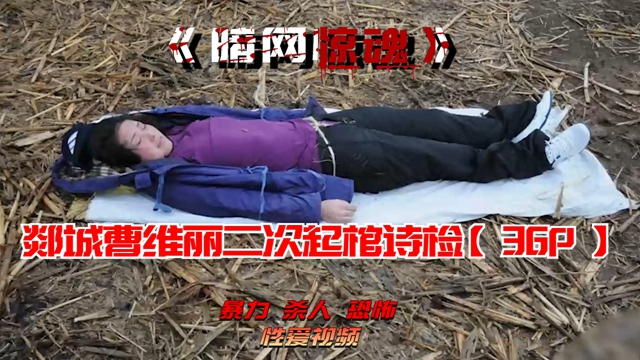 郯城曹维丽二次起棺诗检【36P】 的封面