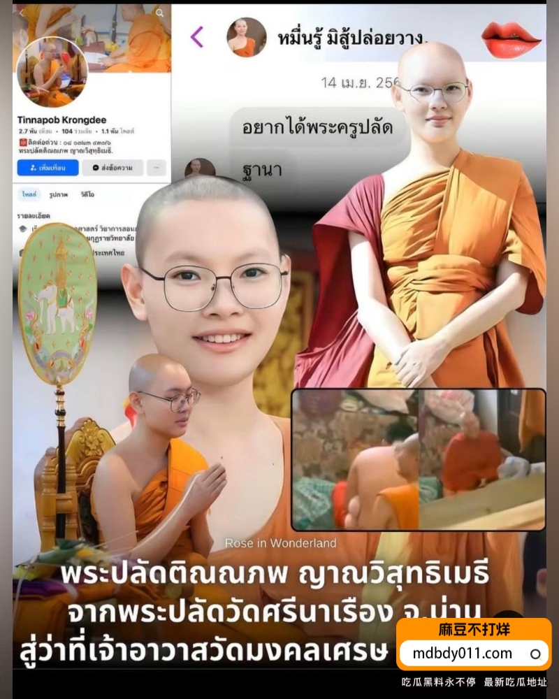 提纳蓬克朗迪 (1)