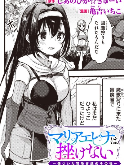 瑪麗安蕾娜不會放棄 ～受到傷害的冒險者們後續的故事～ [しあのぴか☆ぎゅーい/亀吉いちこ] マリアエレナは挫けない～傷ついた冒険者達のその後～ [中国翻訳] のポスター