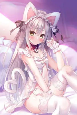 醉酒的伴娘 的封面